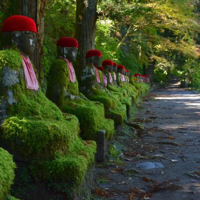 Visite de Tokyo : Excursion à Nikko