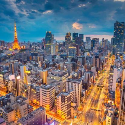 Tokyo Voyage au Japon : Le Temps des Cerisiers