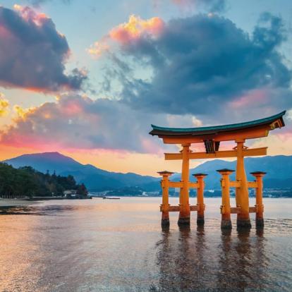 Voyage au Japon : Le Temps des Cerisiers