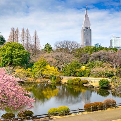 Circuit au Japon : Repos Luxueux au Japon