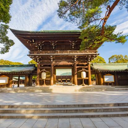 Voyage au Japon : Repos Luxueux au Japon