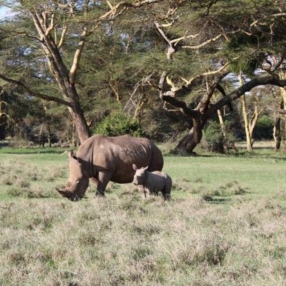 Voyage au Kenya : La Vallée du Rift, Menengai,Aberdares et Masai Mara