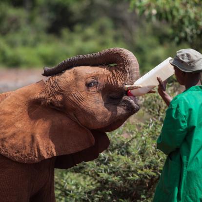 Voyage au Kenya : La Vallée du Rift, Menengai et Masai Mara