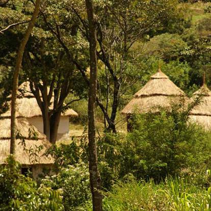 Kenya : Tourisme responsable et safaris au Kenya