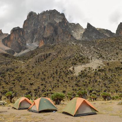 Voyage au Kenya : Trekking et Safaris