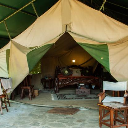 Voyage au Kenya : Trekking et Safaris