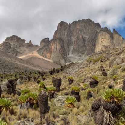 Voyage au Kenya : Trekking et Safaris
