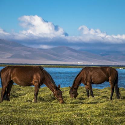 Randonnée Equestre au Kirghizistan : Tien Shan Equitation