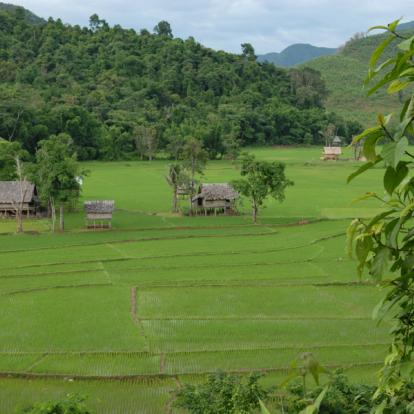 Circuit au Laos : Autour de Luang Prabang