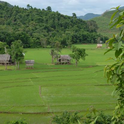 Voyage au Laos : Peuples et Merveilles du Nord