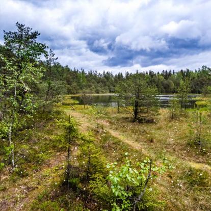 Voyage Pays Baltes : Les Parcs de Lituanie