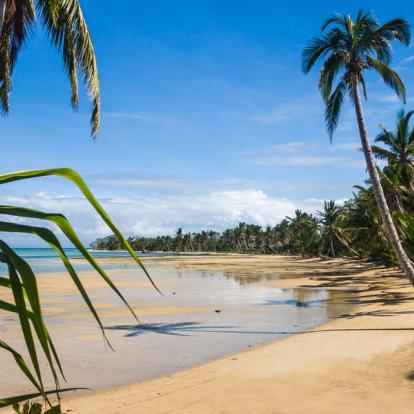 Circuit à Madagascar: L'Est Tropical