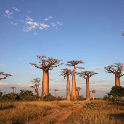 Circuit à Madagascar: L'Ouest Insolite
