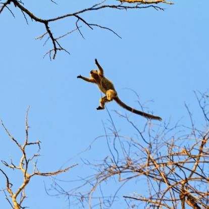 Voyage à Madagascar: L'Ouest Insolite