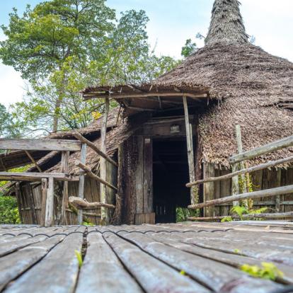 Voyage en Malaisie : Aventure à Bornéo