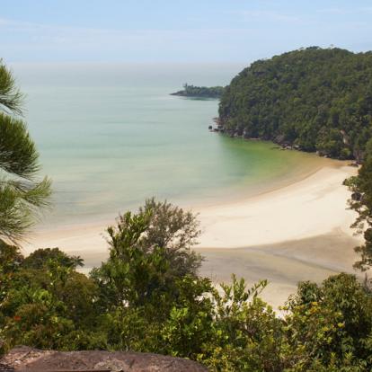 Voyage en Malaisie : Aventure à Bornéo