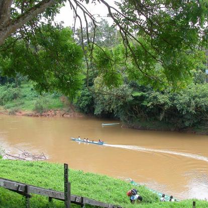 Voyage en Malaisie : Aventure à Bornéo
