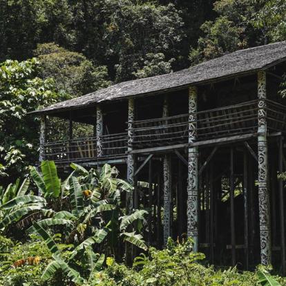 Voyage en Malaisie : Aventure à Bornéo