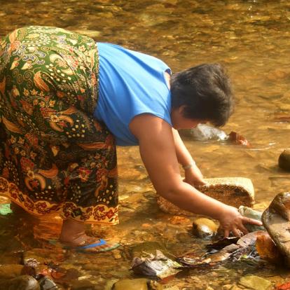 Voyage en Malaisie : Aventure à Bornéo