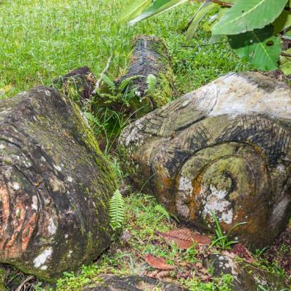 Voyage en Malaisie : Aventure à Bornéo