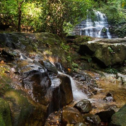 Voyage en Malaisie : Aventure à Bornéo