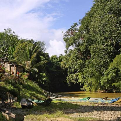 Voyage en Malaisie : Circuit Famille à Bornéo