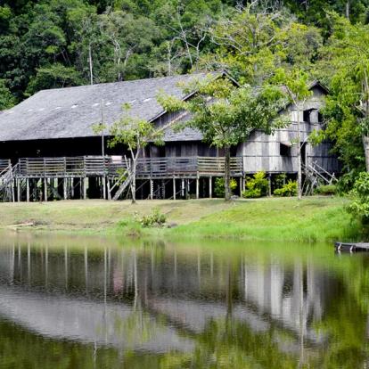 Voyage à Bornéo : Culture, Nature et Aventure