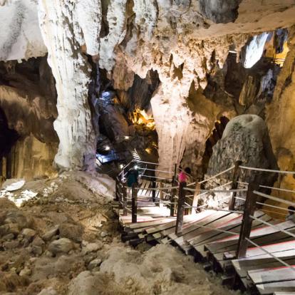 Voyage à Bornéo : Culture, Nature et Aventure