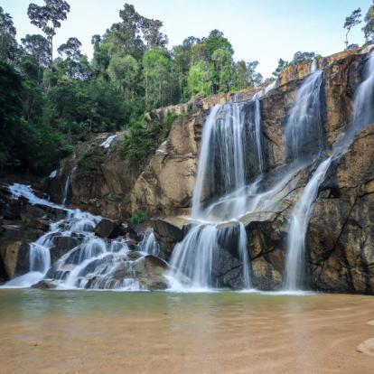 Voyage à Bornéo : Culture, Nature et Aventure