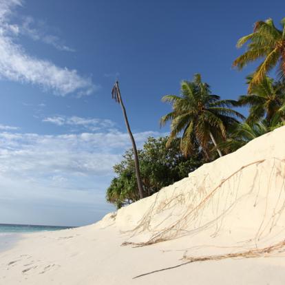 Voyage aux Maldives: Duo Magique aux Maldives