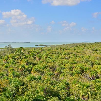 Voyage au Mexique : Yucatan Verde