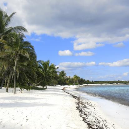 Voyage au Mexique : Yucatan Verde