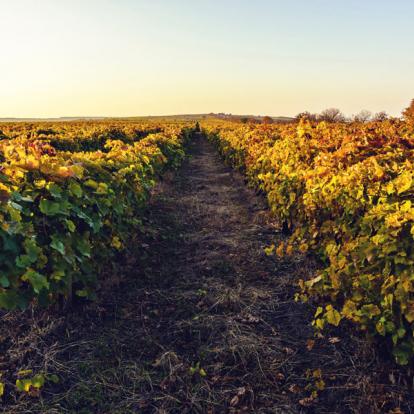 Circuit en Moldavie : Randonnée pittoresque entre nature et culture