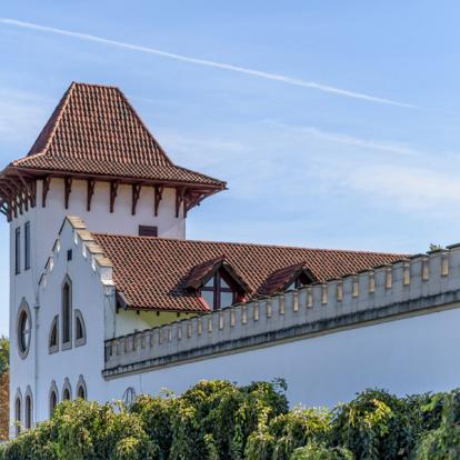 Circuit en Moldavie : Sur la Route du Vin
