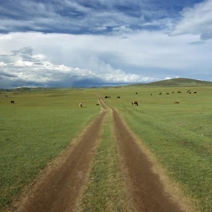 Voyage en Mongolie : Découverte de l'Arkhangay