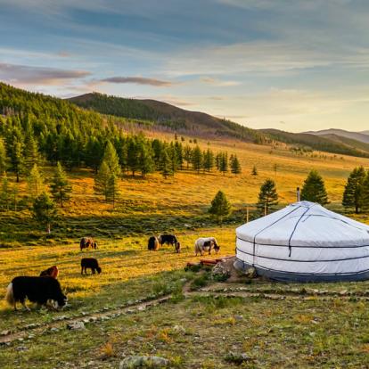 Circuit en Mongolie : Désert de Gobi et Trek dans le Naiman Nuur-Khovsgol