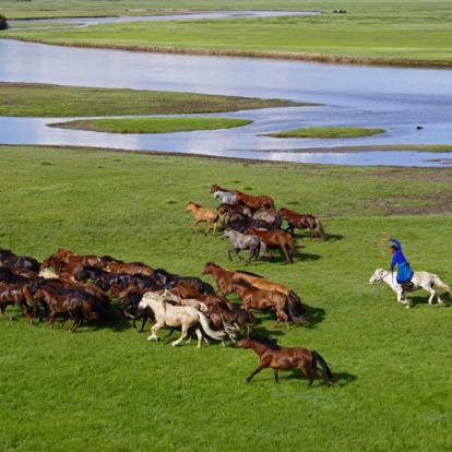 Voyage en Mongolie : Désert de Gobi et Trek dans le Naiman Nuur-Khovsgol