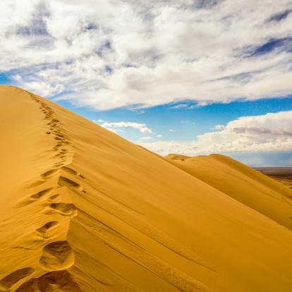 Voyage en Mongolie : Désert de Gobi et Trek dans le Naiman Nuur-Khovsgol
