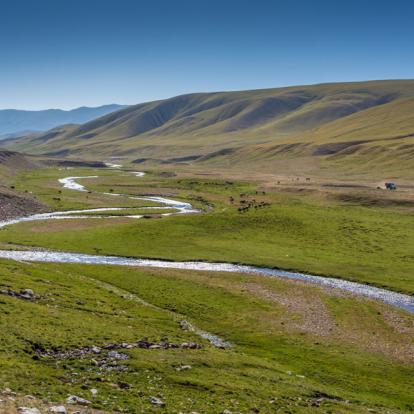 Voyage en Mongolie : Découverte à travers le Désert de Gobi