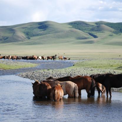 Circuit en Mongolie : Circuit randonnée et yourte, chez l’habitant