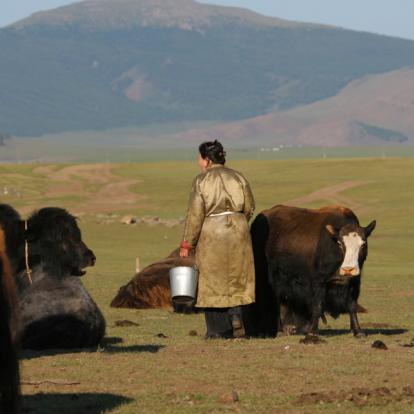 Voyage en Mongolie : Circuit randonnée et yourte, chez l’habitant