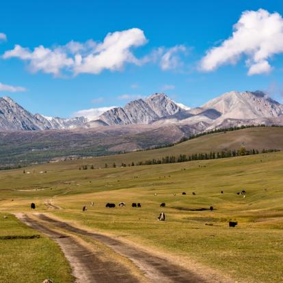 Voyage en Mongolie : Randonnée et yourte, chez l’habitant