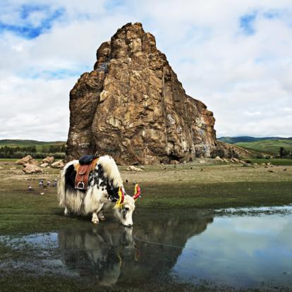 Voyage en Mongolie : Randonnée et yourte, chez l’habitant