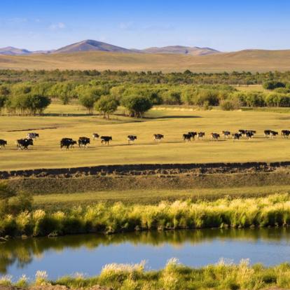 Circuit en Mongolie : Randonnée et yourte, chez l’habitant