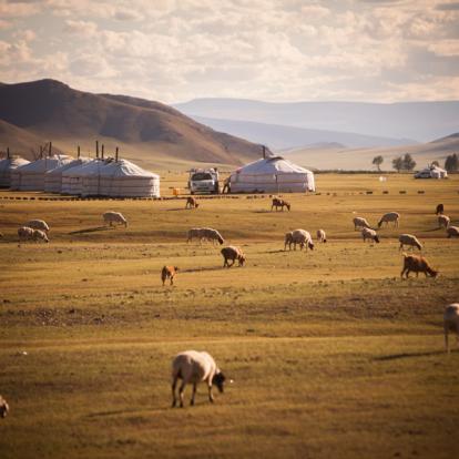 Circuit en Mongolie : Yourtes et Rencontres