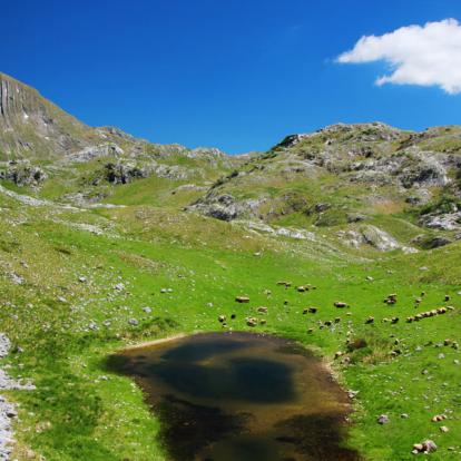 Circuit au Monténégro - Randonnées du Parc des Durmitor à Kotor