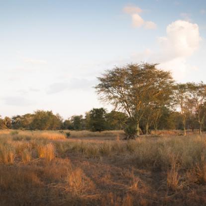 Gorongosa NP Voyage au Mozambique : Safari et Plage de Rêve