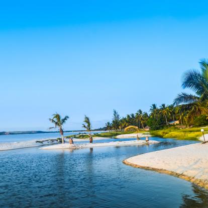 Voyage au Mozambique : Safari et Plage de Rêve