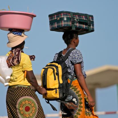 Voyage au Mozambique : Safari et Plage de Rêve