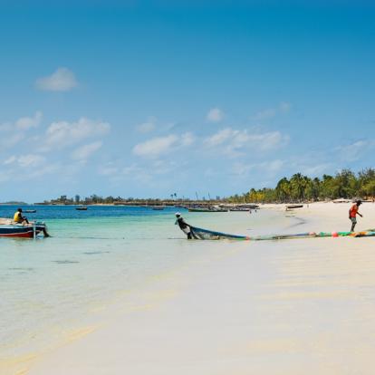 Séjour au Mozambique : Safari et Plage de Rêve